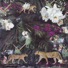 4x Single Lunch Paper Napkins