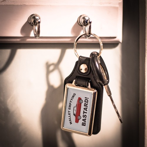 Key ring rover - key,