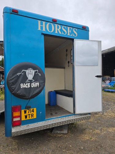 Horse box marlborough - horse, 3.5