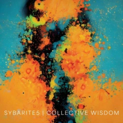 Sybarite5 collective wisdom - sybarite5,