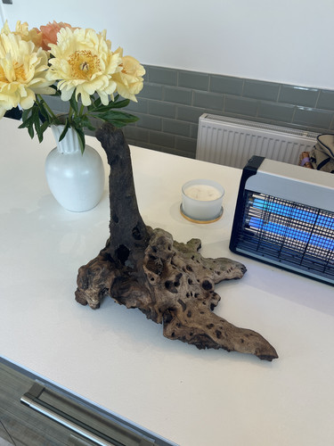 Large aquarium driftwood - aquarium,