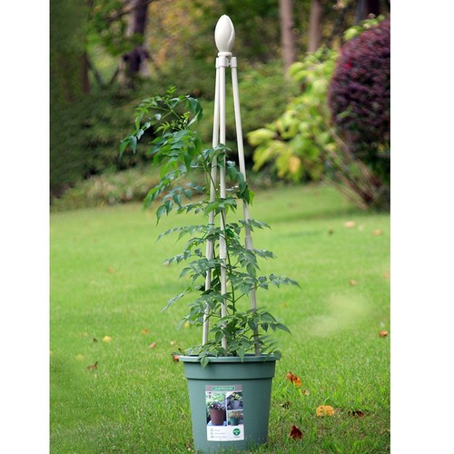 Metal garden trellis - garden, trellis,garden