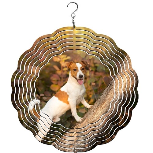 Jack russell wind - wind, |