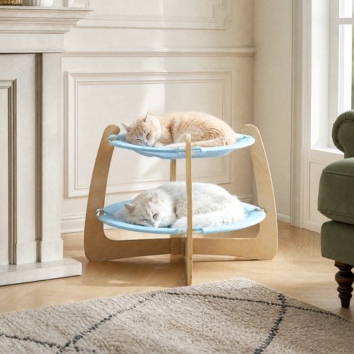 Elevated raised cat dog puppy - cat,