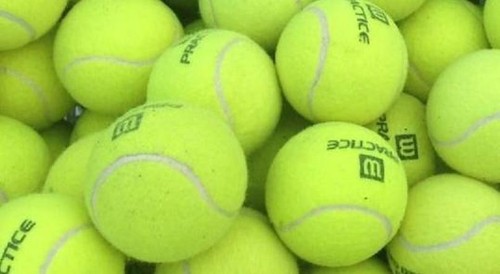 Used tennis balls dog - used,