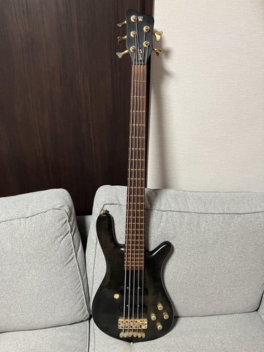 Warwick streamer lx5 safe - warwick,