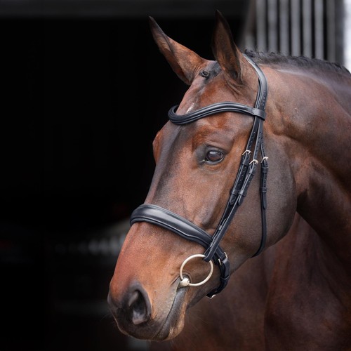 Shires velociti lusso - velociti, elite
