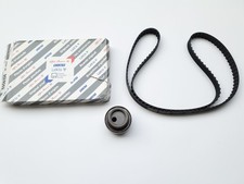 Timing Belt & Tensioner Pulley