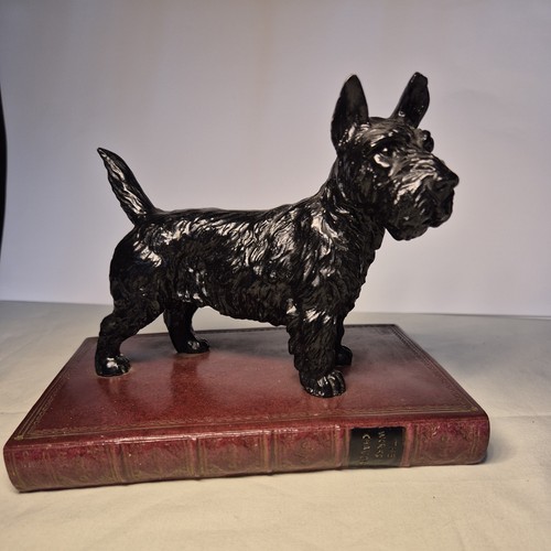 Heavy terrier paper weight - paper,