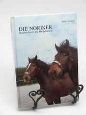 The Noriker stallion rearing