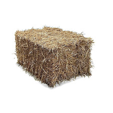 Meadow Hay Grass Bale Box High