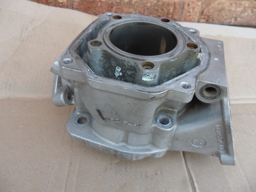 Rotax max mini - rotax,
