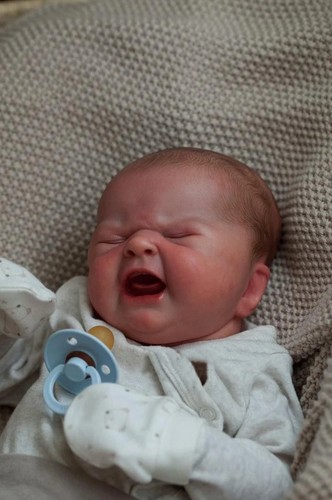 19inch reborn doll baby - 19inch,