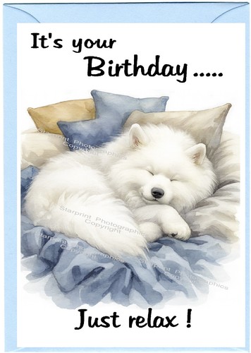 Samoyed dog birthday card 4 - samoyed, (4"