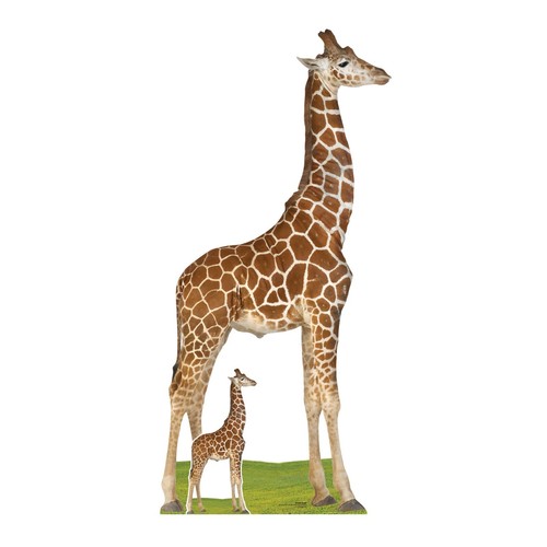 Giraffe animal cardboard - giraffe,