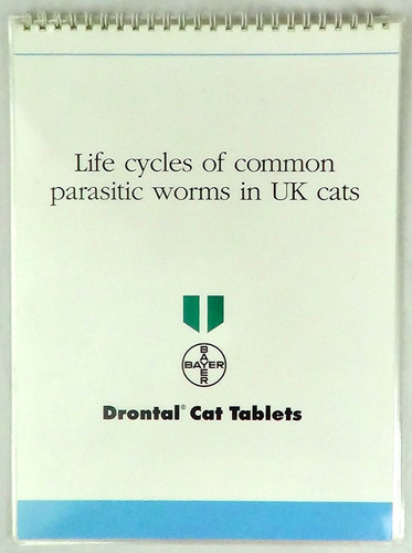 Life cycles common - of,