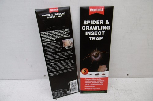 Rentokil spider crawling - spider,