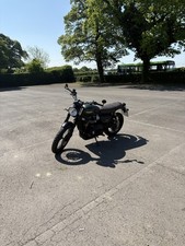 Brown Triumph Bench Seat For