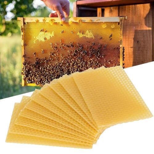 Pieces beeswax sheets - 10/30,