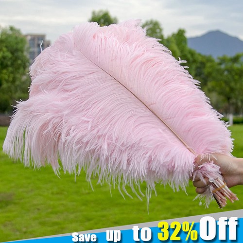 10x 30cm large ostrich - 10x, 25-30cm