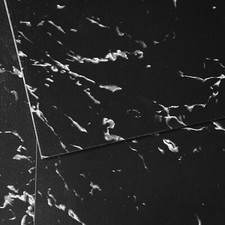 VEVOR 12” x 12” Self Adhesive Vinyl Floor Tiles 50 PCS 1.5mm Thick Black Marble