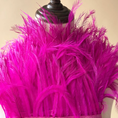 Turkey feather trim fluffy - feather,