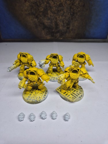 Imperial fists terminators - 5x,