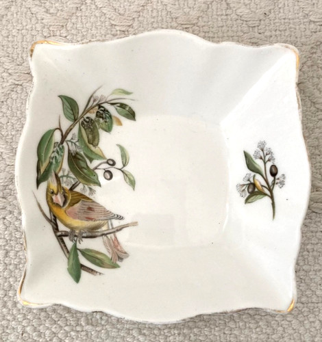 Vintage royal tuscan bone - tuscan,