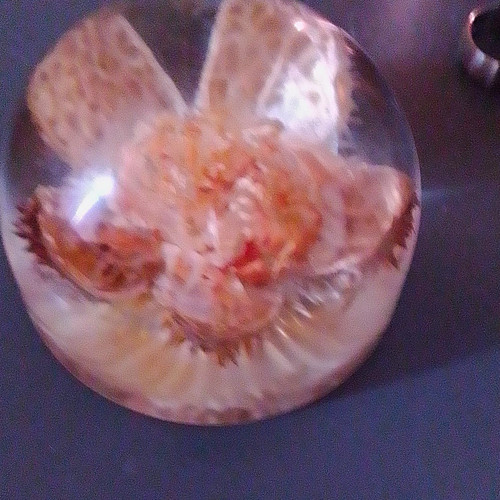 Clear art glass - art, flower