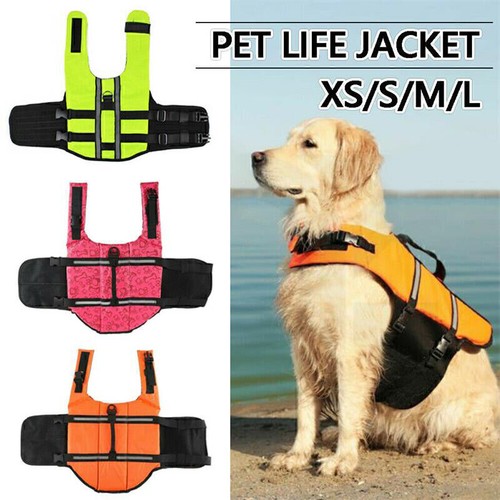 Buoyancy lifesaver swimming - buoyancy,