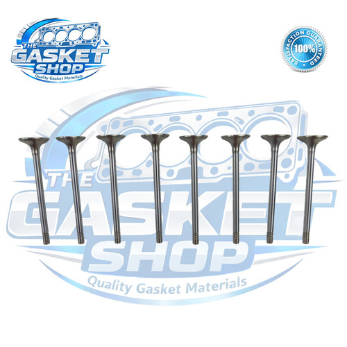Inlet valves beetle bora - 8,