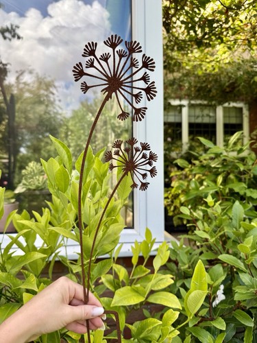 Rusty metal allium heads - allium,
