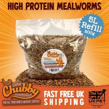 Dried Mealworms for Birds 5L