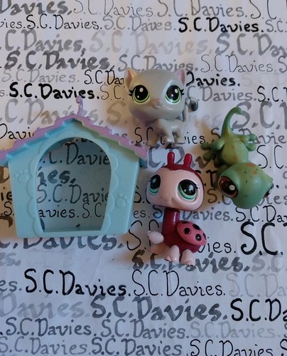 Littlest pet shop grey - littlest, cat
