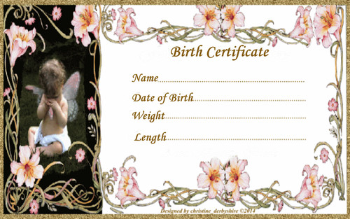 Fairy lilies birth - lilies,