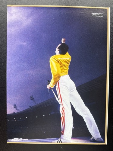 Freddie mercury queen - freddie,