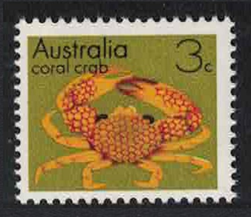 Coral crab marine life - coral,