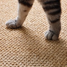 Cat Scratching Mat Sisal Rug