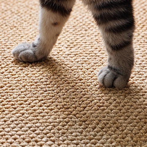 Cat scratching mat sisal rug - sisal,