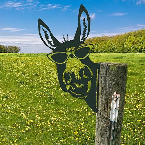 Metal donkey garden - metal, ornaments