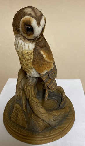 Teviotdale birds large tawny - birds-large,