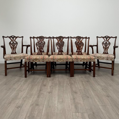 Antique 20th century set - antique,