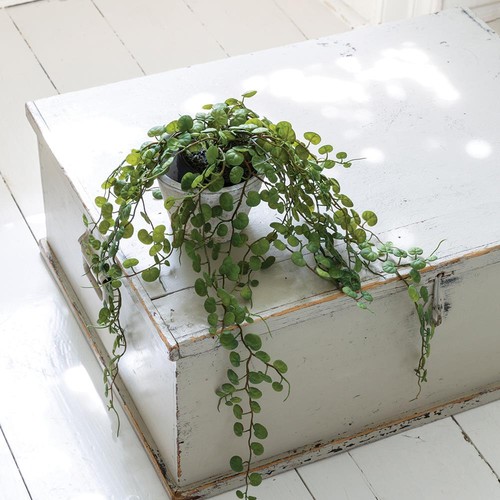 Artificial potted string - potted, of
