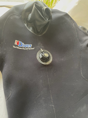 Northern diver neoprene - diver,
