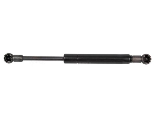 Door gas strut for case - for,