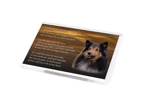 Sheltie dog fridge - dog, pet
