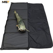 NGT Catfish Fishing Unhooking