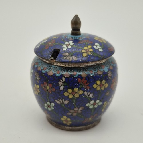Unusual vintage cloisonné - unusual,