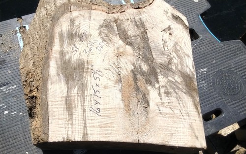 Spalted ash bowl blank - spalted,