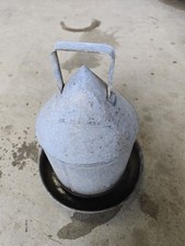 Hen Chicken Poultry drinker